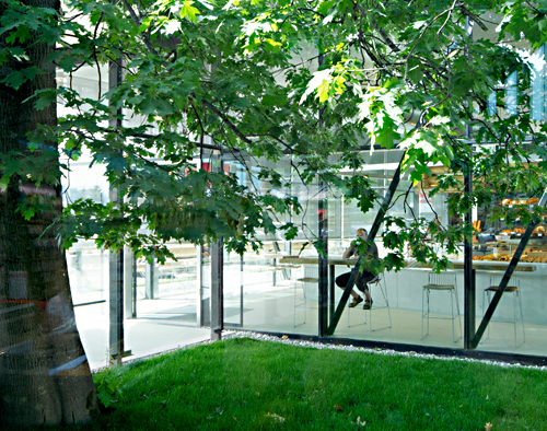 Ein Foto von David Schreyer