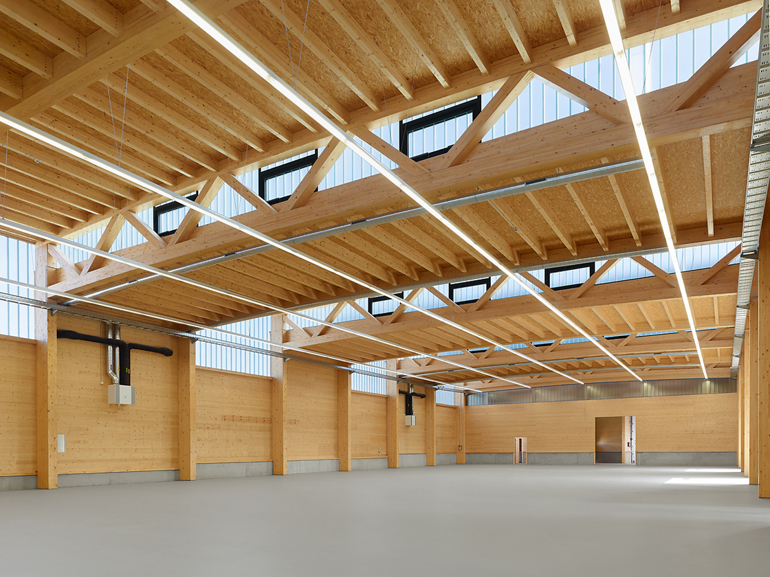 Ein Foto von Zooey Braun