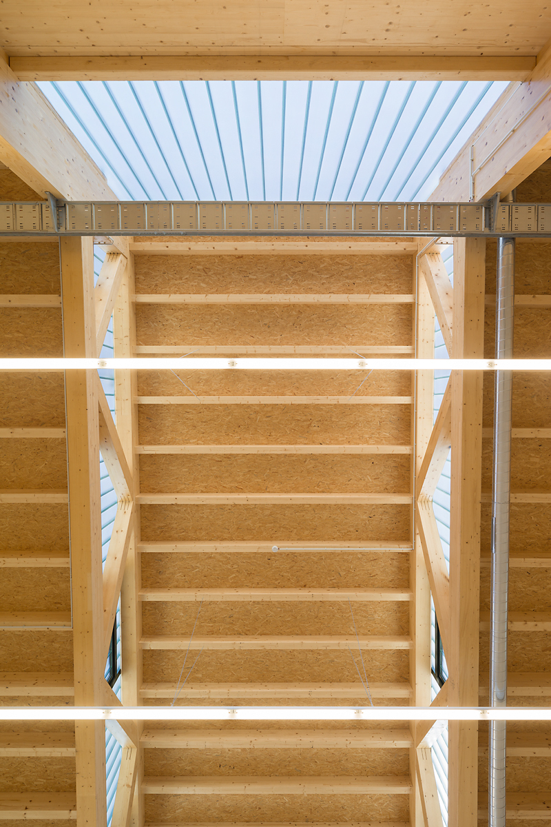 Ein Foto von Zooey Braun