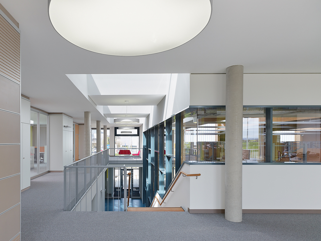 Ein Foto von Zooey Braun