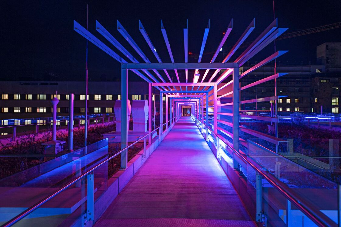 Ein Foto von Toni Muhr