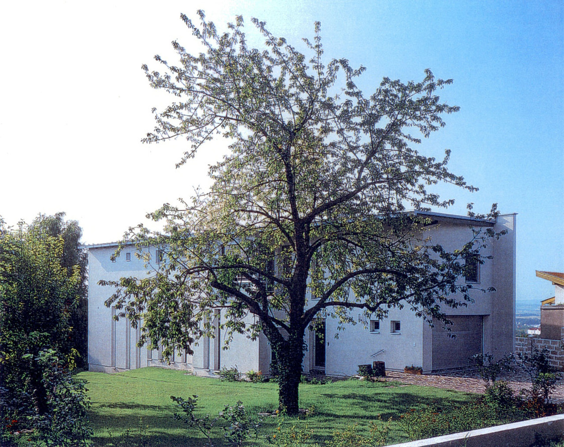 Ein Foto von Franz Schachinger