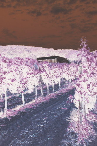 Ein Foto von Peter Jakadofsky