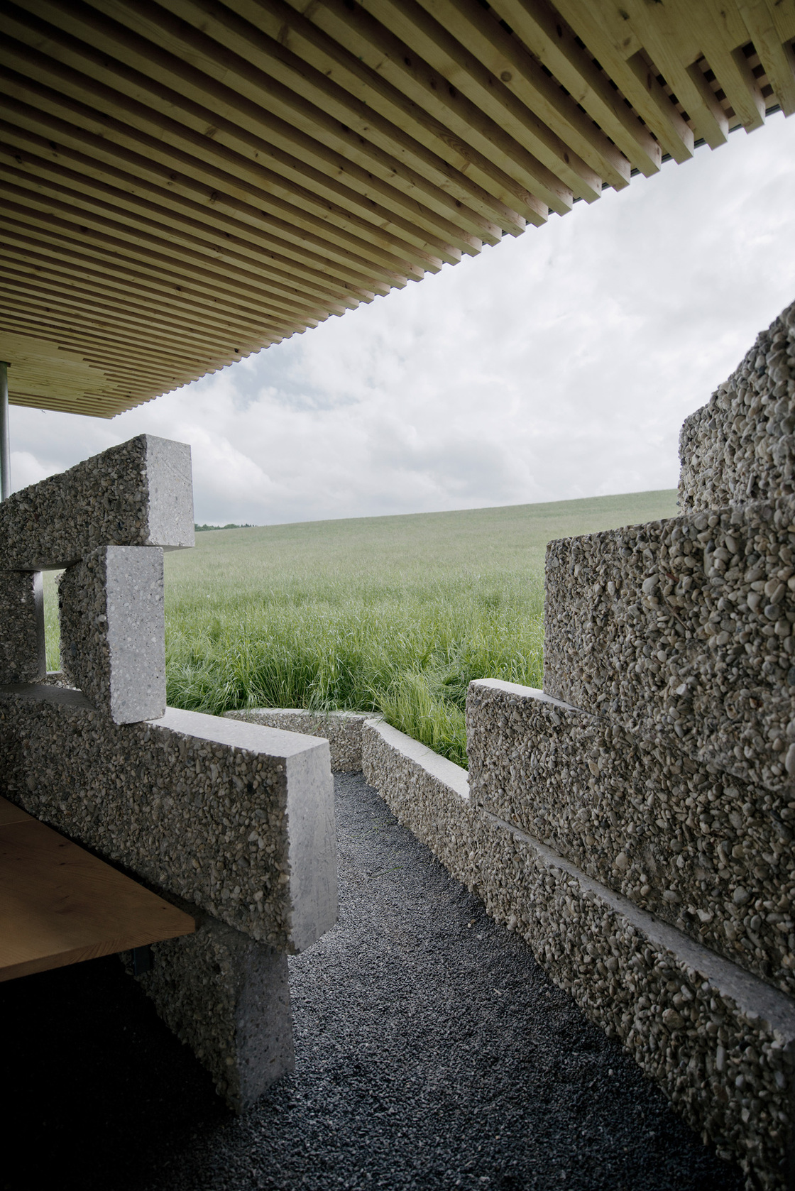 Ein Foto von Dietmar Tollerian