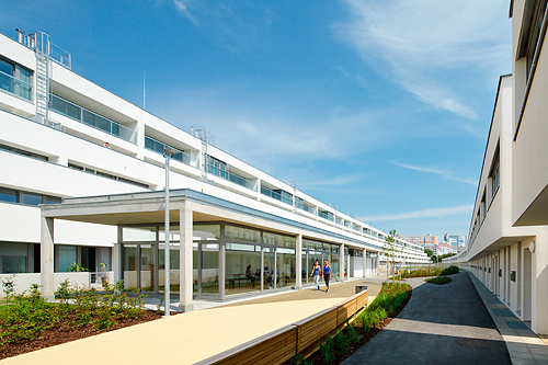 Ein Foto von Rupert Steiner