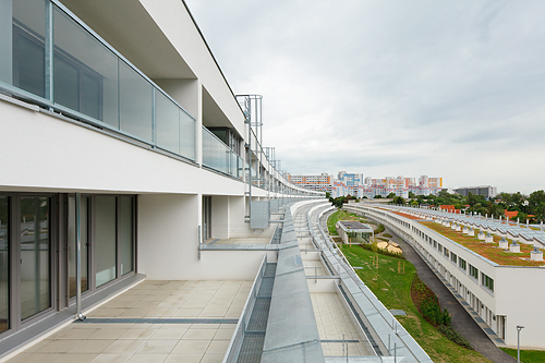 Ein Foto von Rupert Steiner