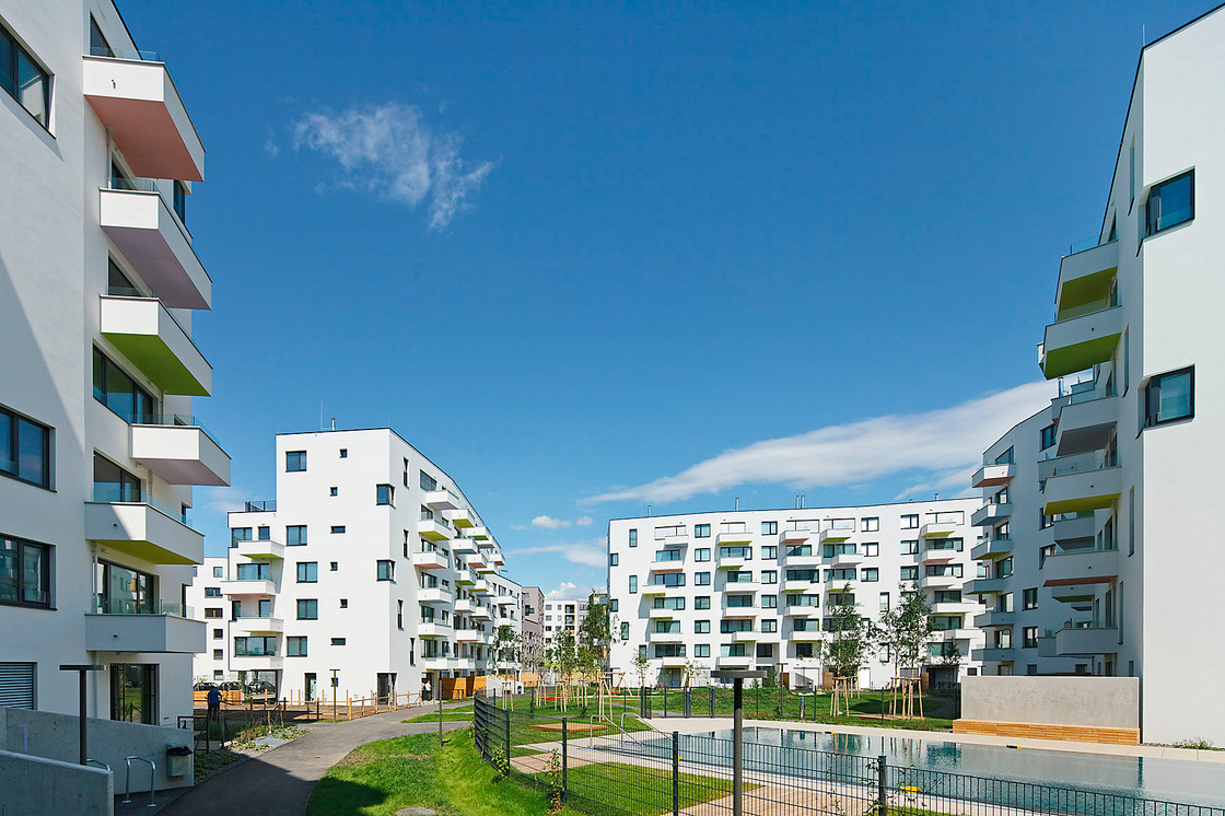 Ein Foto von Rupert Steiner