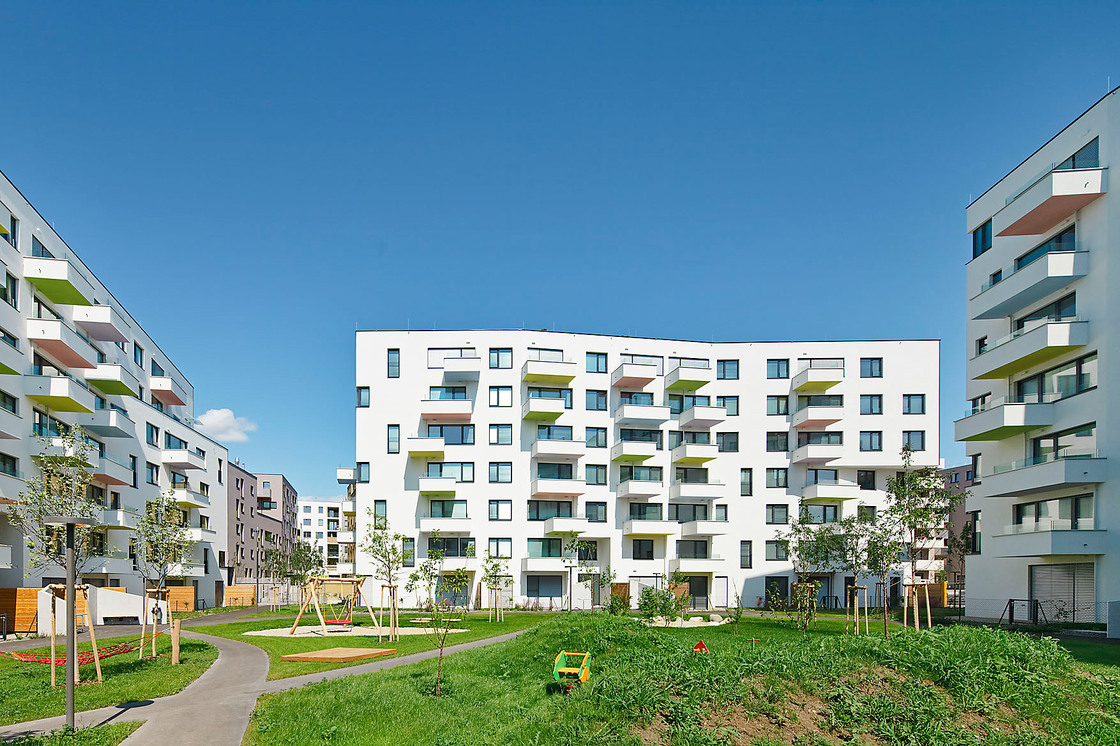 Ein Foto von Rupert Steiner