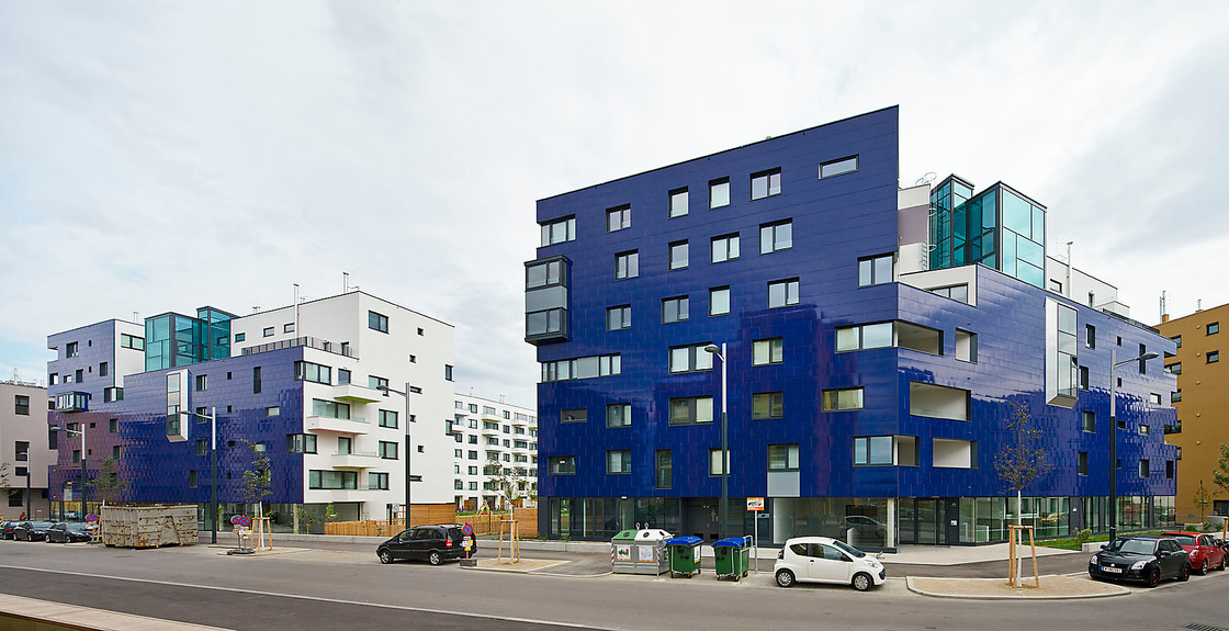 Ein Foto von Rupert Steiner