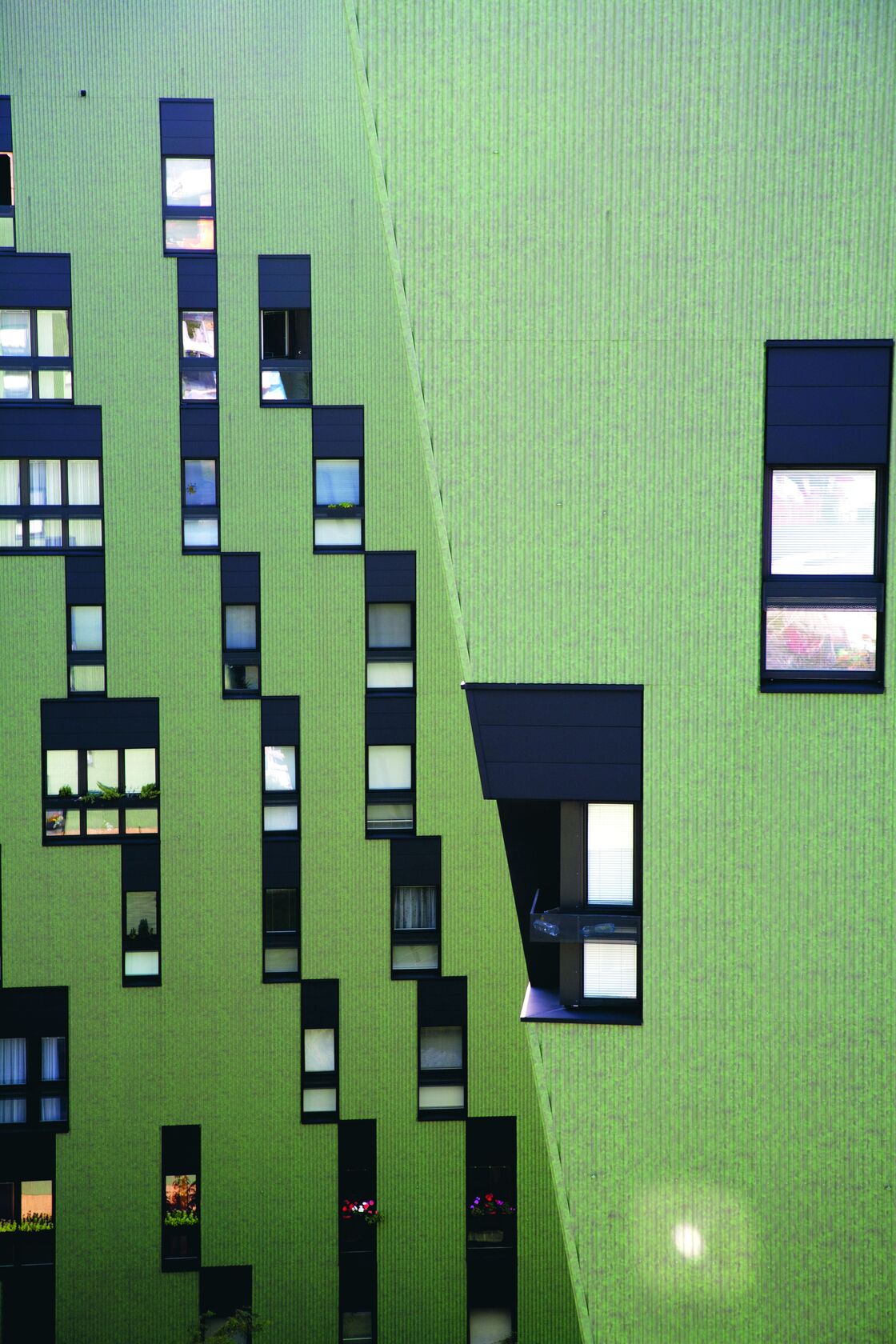 Ein Foto von Lisi Specht