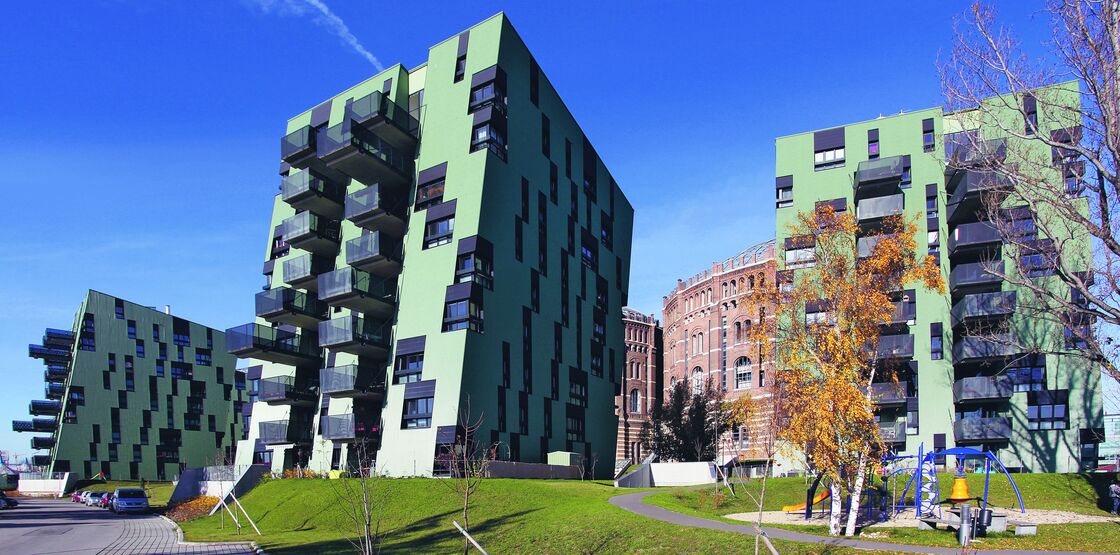 Ein Foto von Lisi Specht