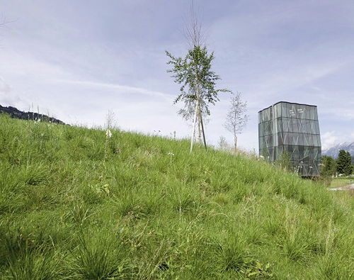 Ein Foto von David Schreyer