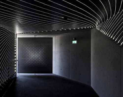 Ein Foto von David Schreyer