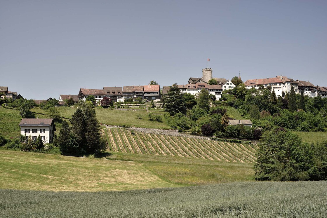 Ein Foto von Sabrina Scheja