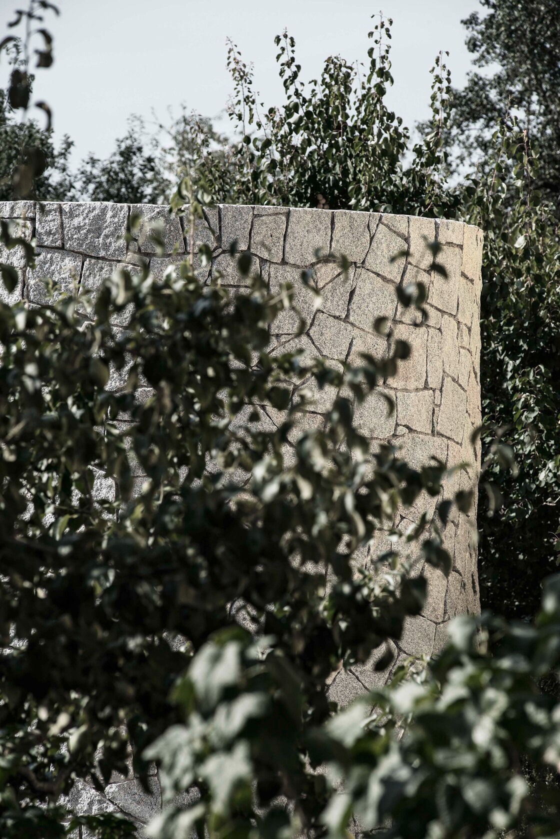 Ein Foto von Dietmar Tollerian