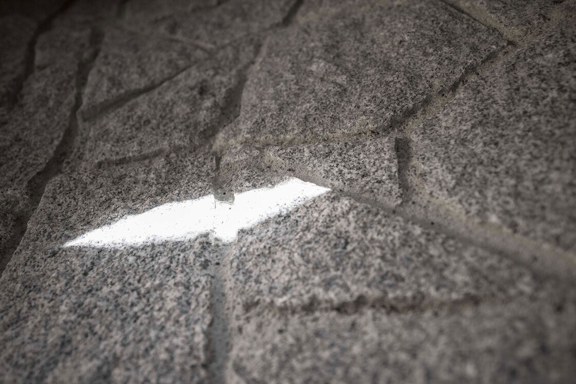 Ein Foto von Dietmar Tollerian