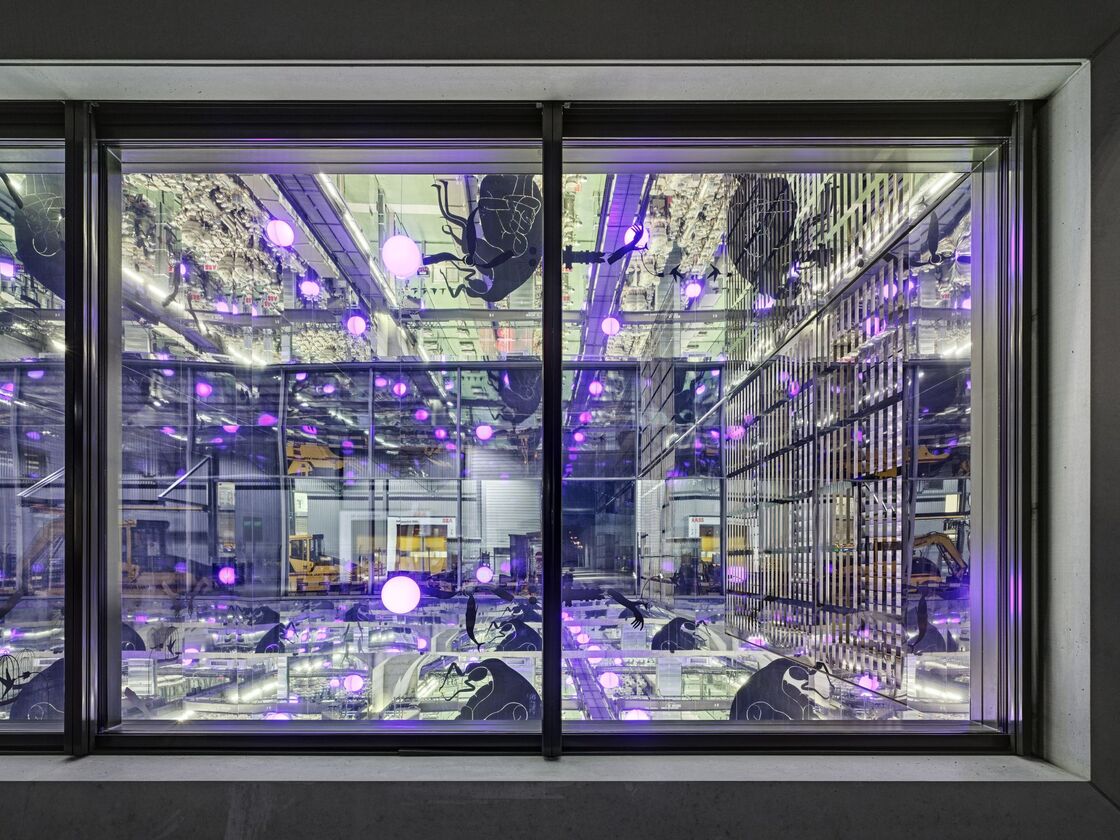 Ein Foto von Roger Frei