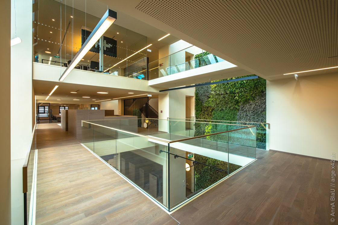 Ein Foto von AnnA BlaU