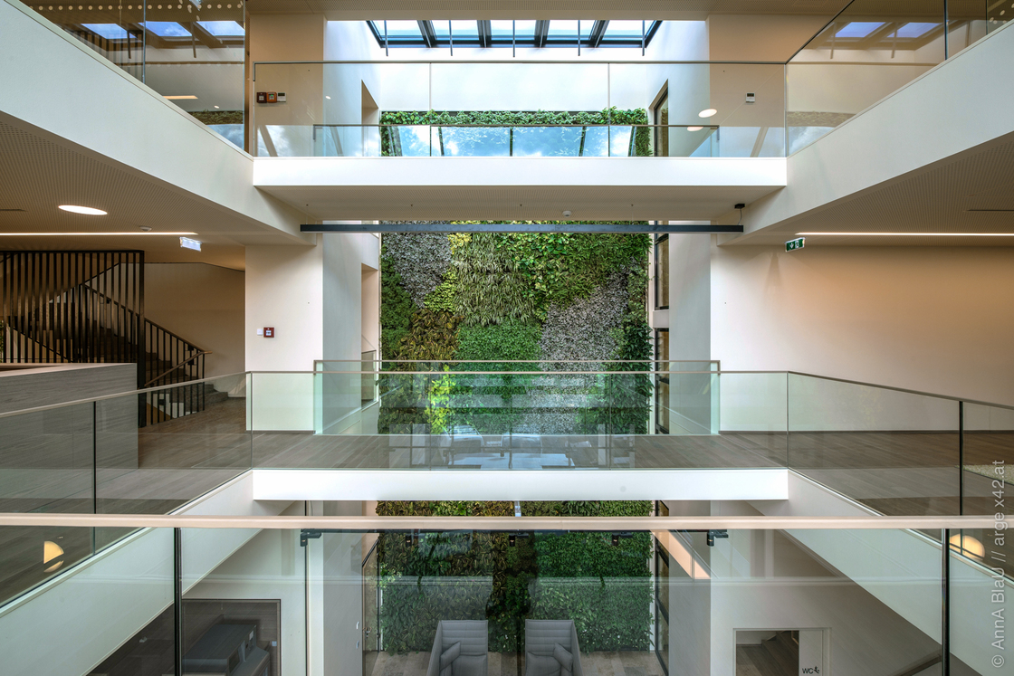 Ein Foto von AnnA BlaU