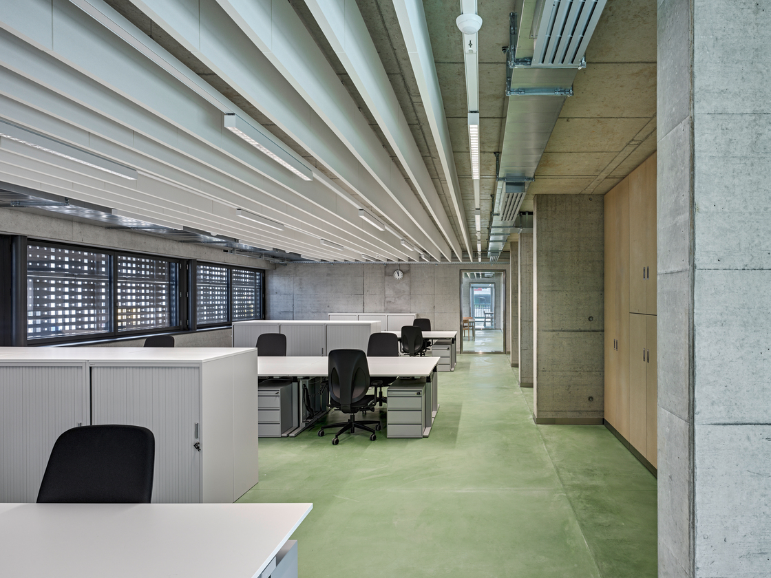 Ein Foto von Roger Frei