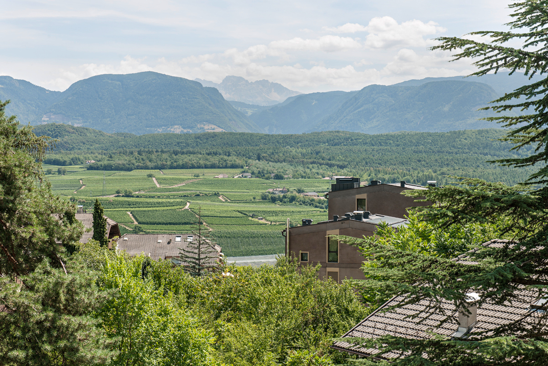 Ein Foto von Hertha Hurnaus