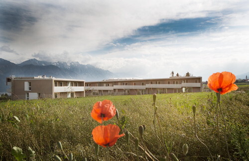 Ein Foto von Birgit Koell