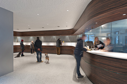 Ein Foto von Angelo Kaunat