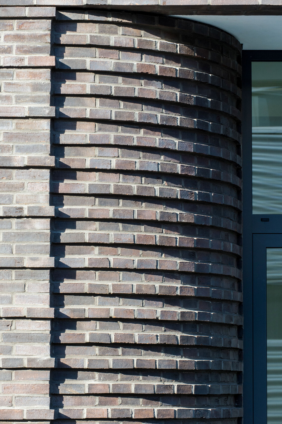 Ein Foto von Lisa Farkas