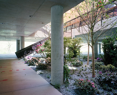 Ein Foto von Lukas Schaller