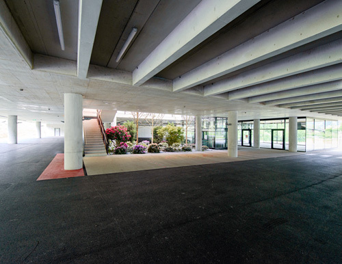 Ein Foto von Lukas Schaller