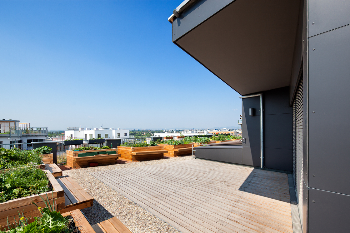 Ein Foto von Markus Kaiser