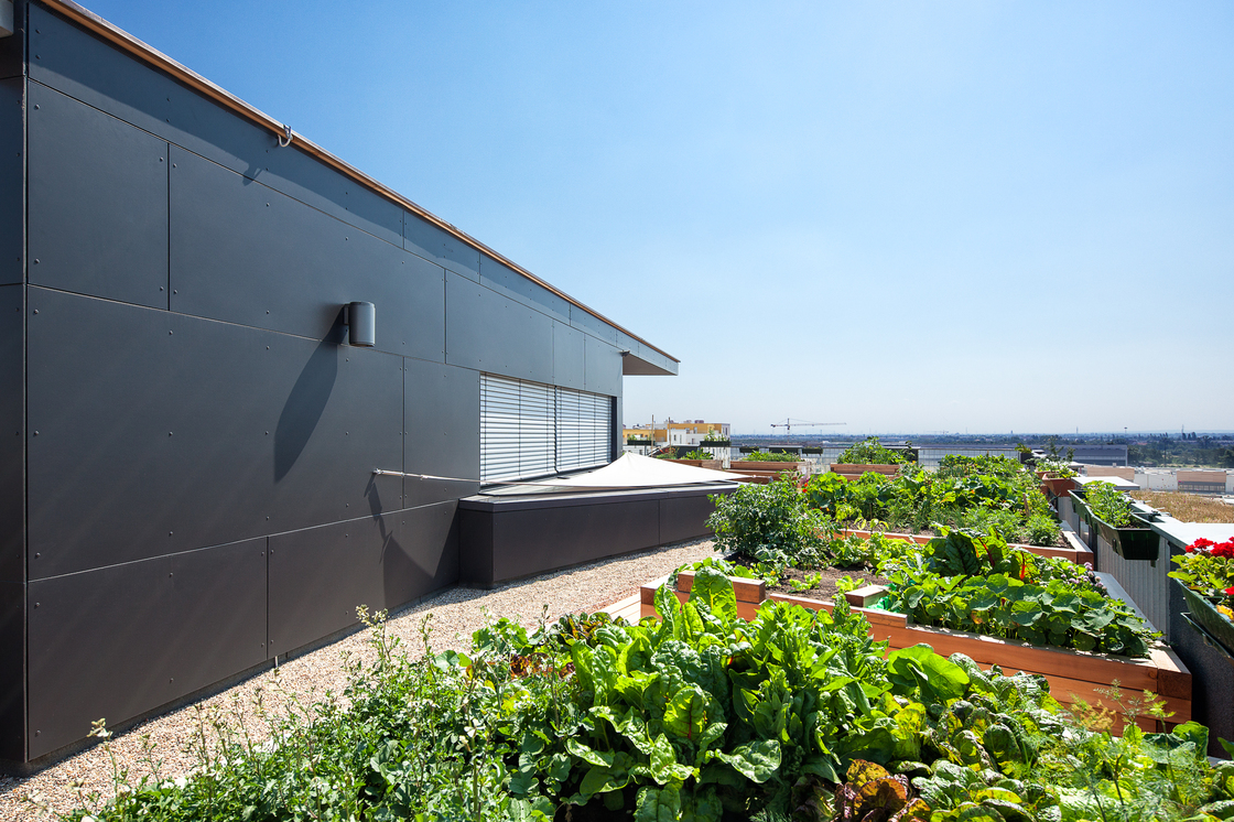 Ein Foto von Markus Kaiser