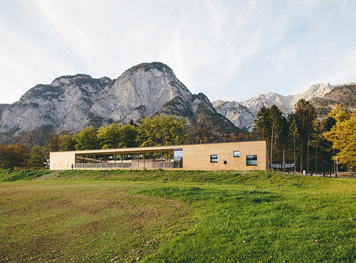 Ein Foto von Mojo Reitter