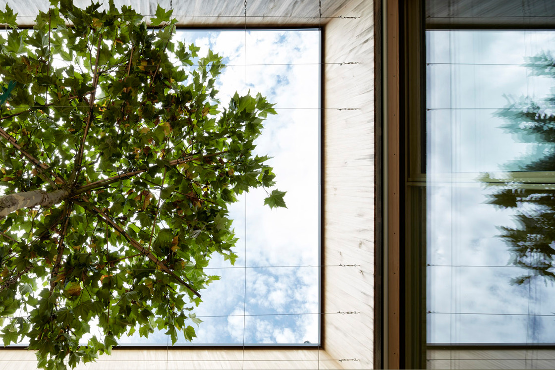 Ein Foto von Adolf Bereuter