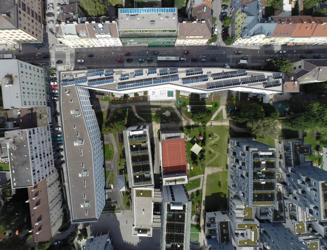 Ein Foto von Ditz Fejer