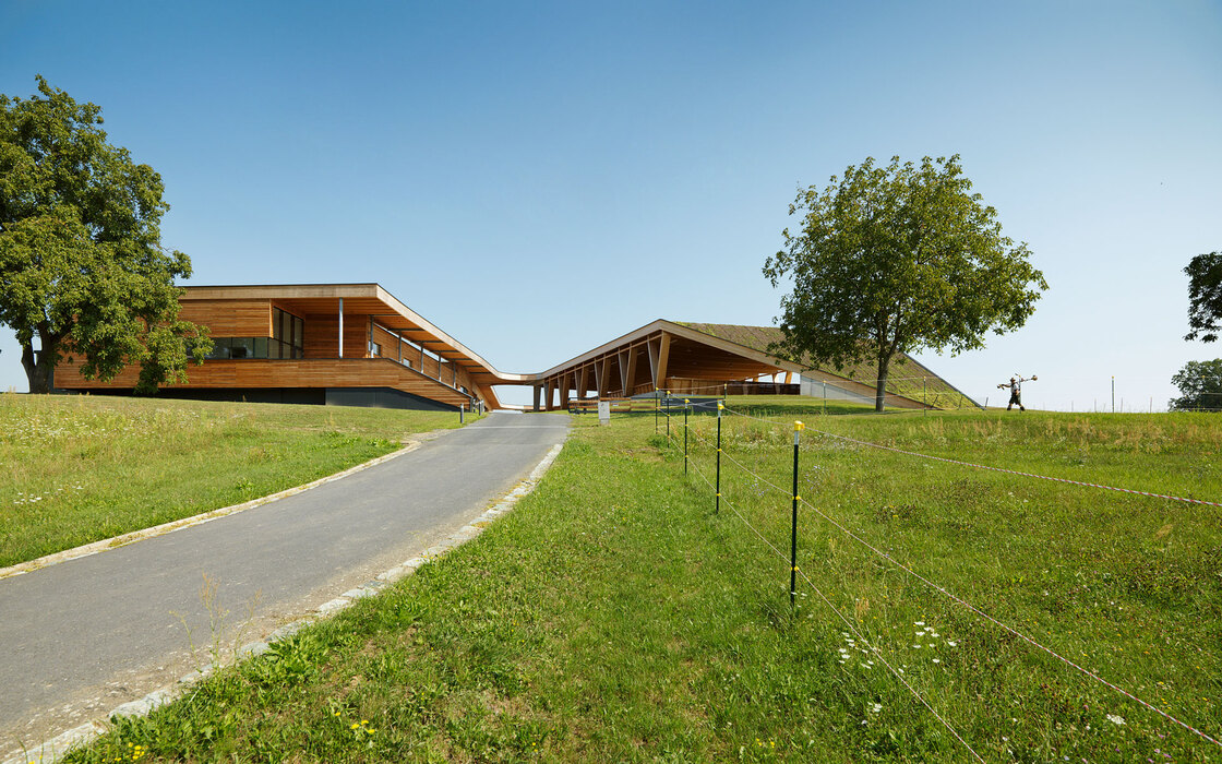 Ein Foto von Paul Ott