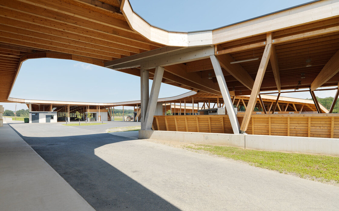 Ein Foto von Paul Ott