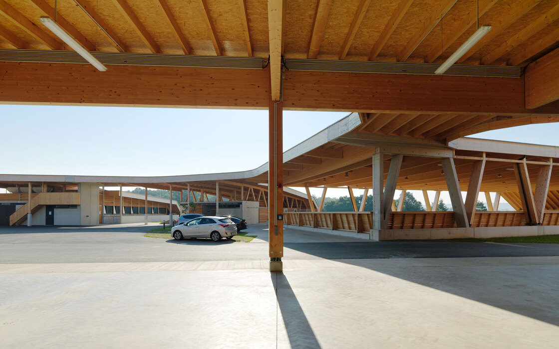 Ein Foto von Paul Ott