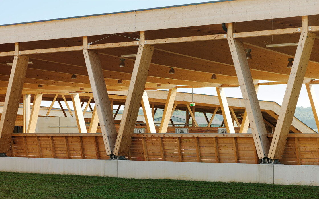 Ein Foto von Paul Ott