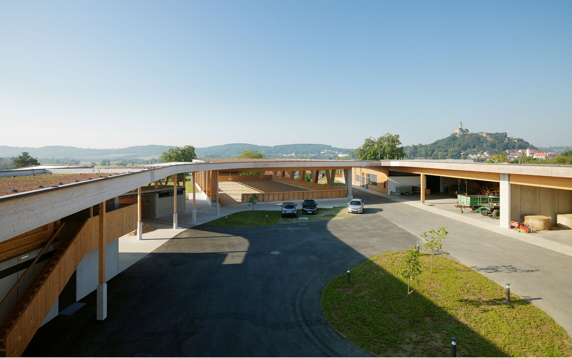 Ein Foto von Paul Ott