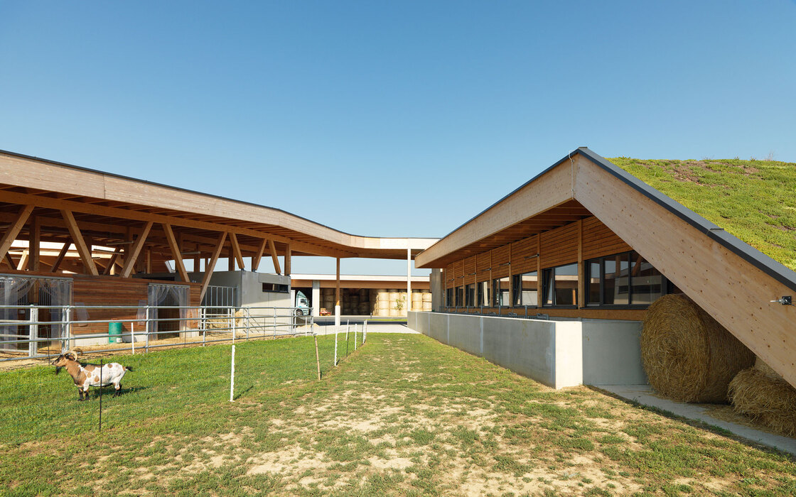 Ein Foto von Paul Ott