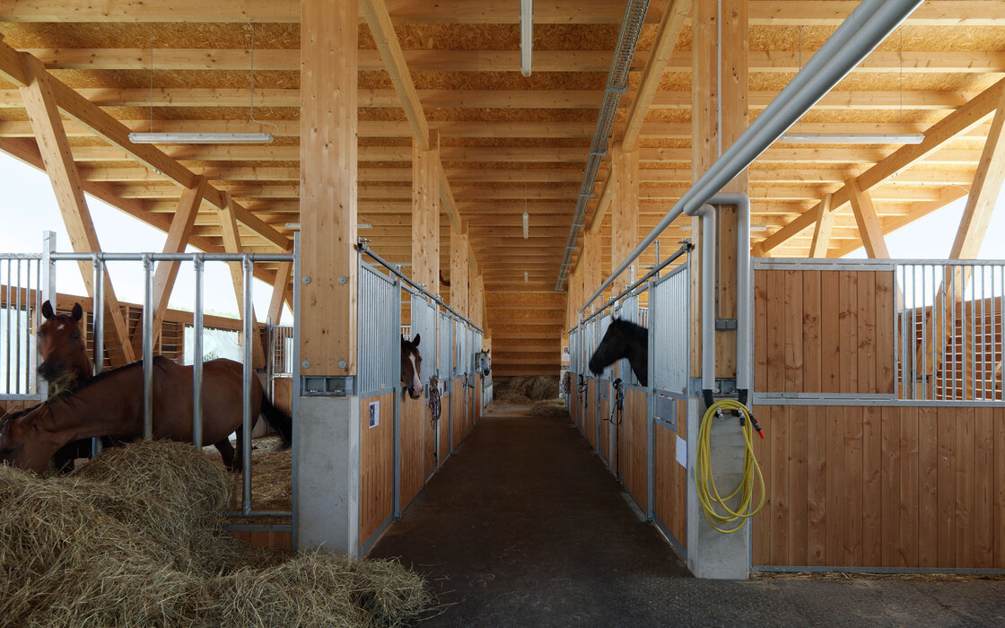 Ein Foto von Paul Ott