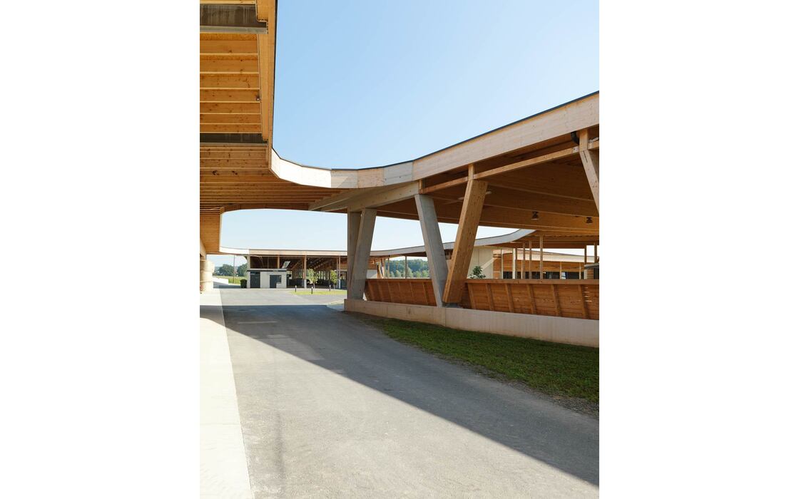 Ein Foto von Paul Ott