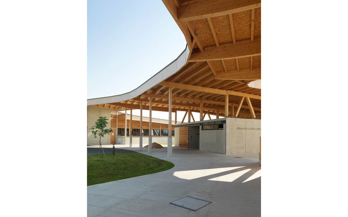 Ein Foto von Paul Ott