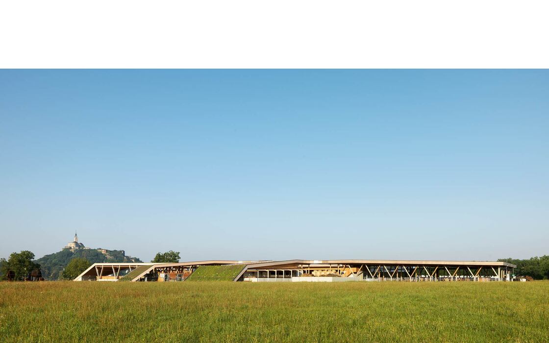 Ein Foto von Paul Ott