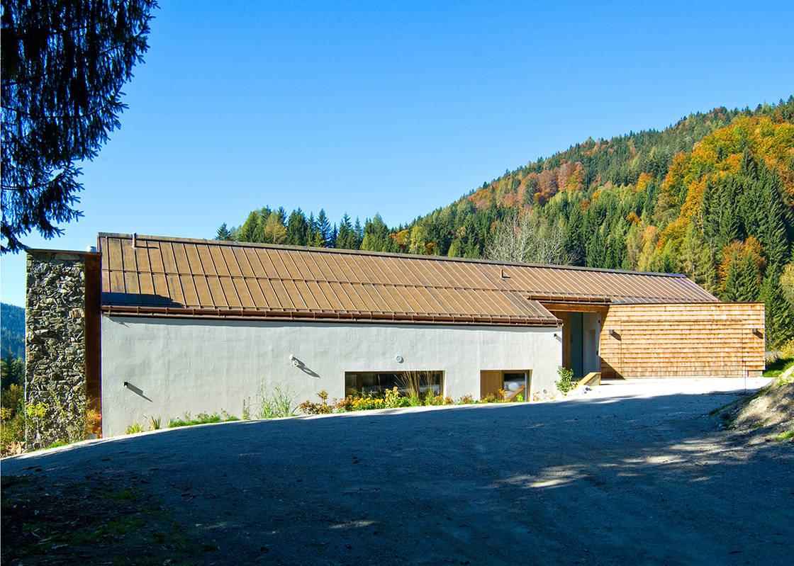 Ein Foto von Susanne Reisenberger-Wolf