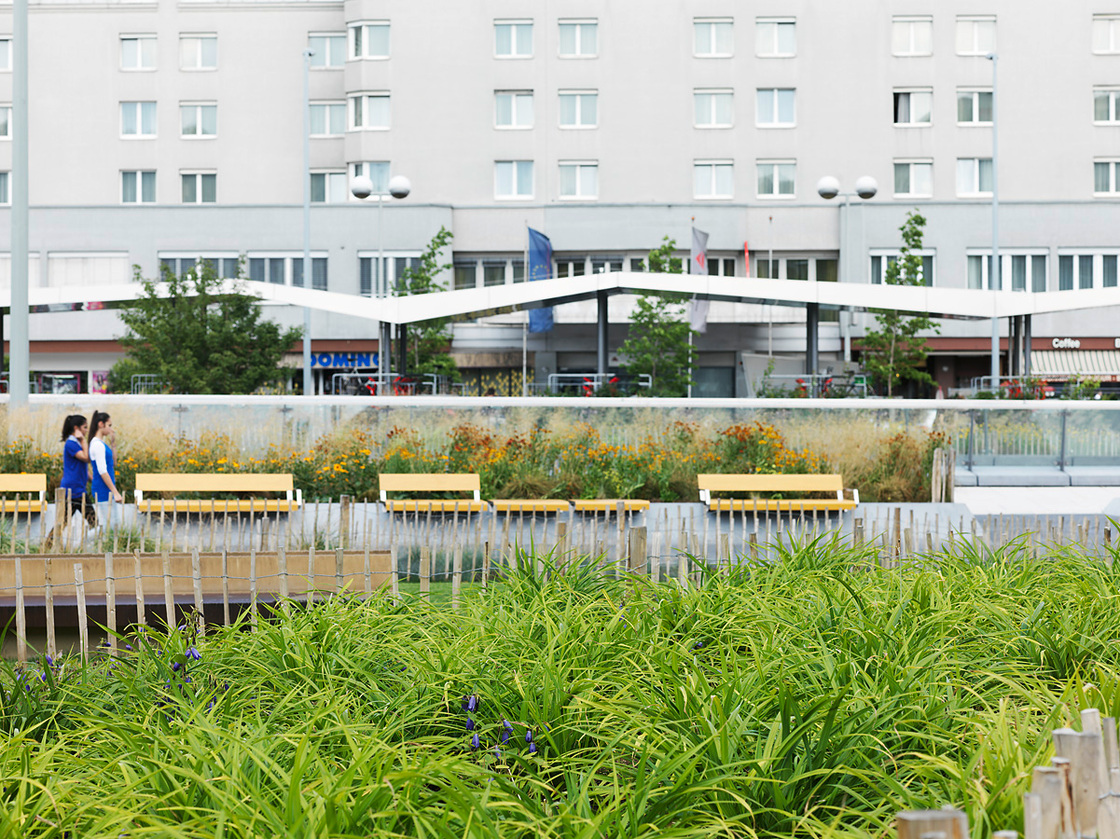 Ein Foto von Paul Ott