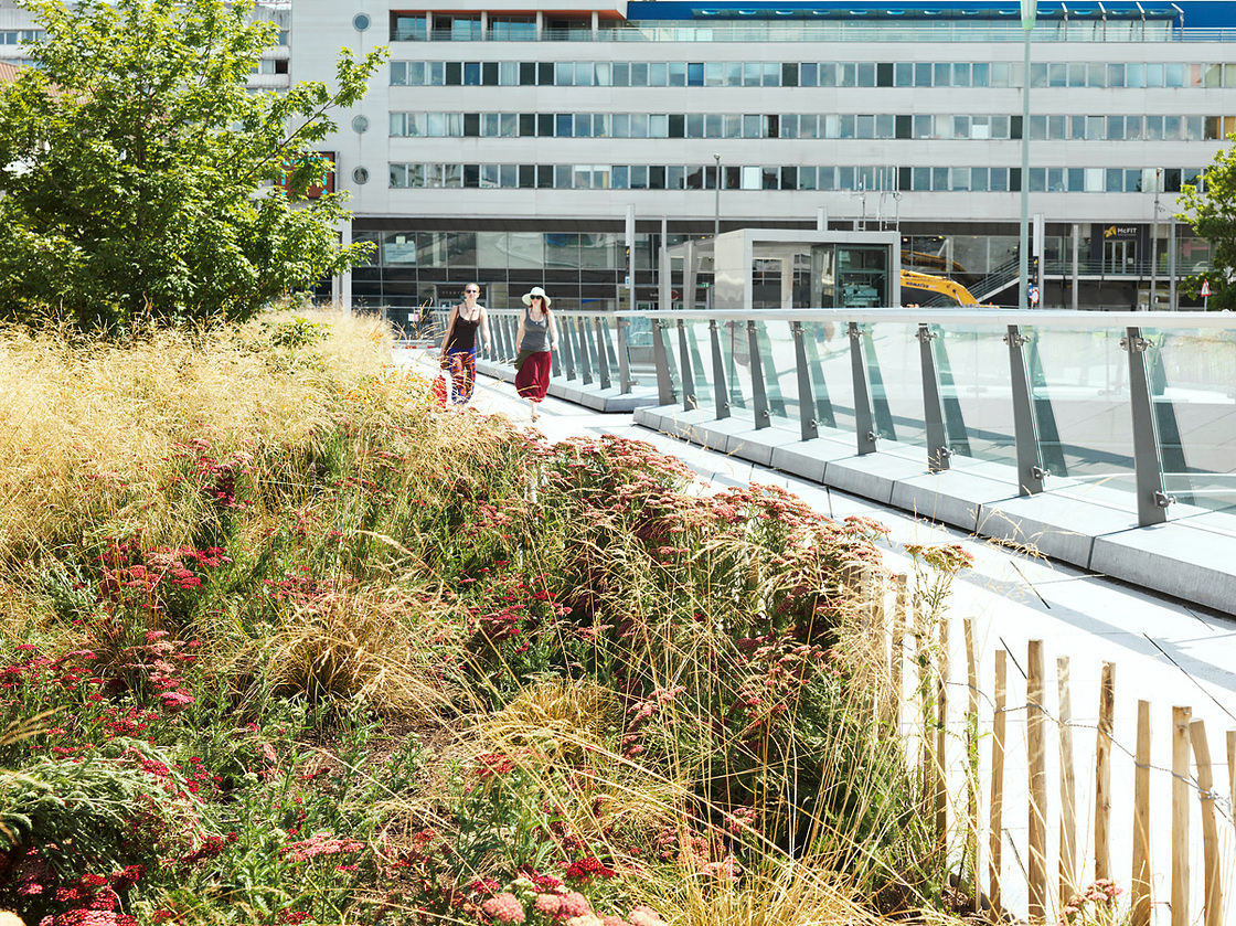 Ein Foto von Paul Ott