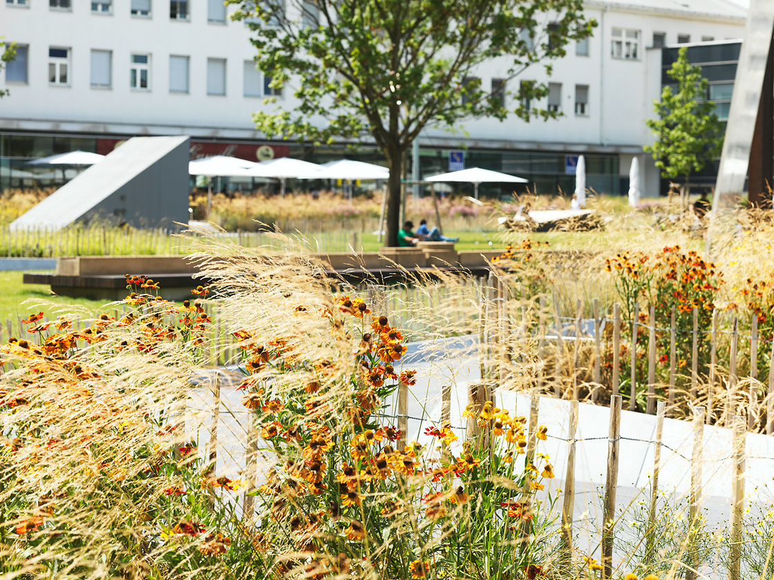 Ein Foto von Paul Ott