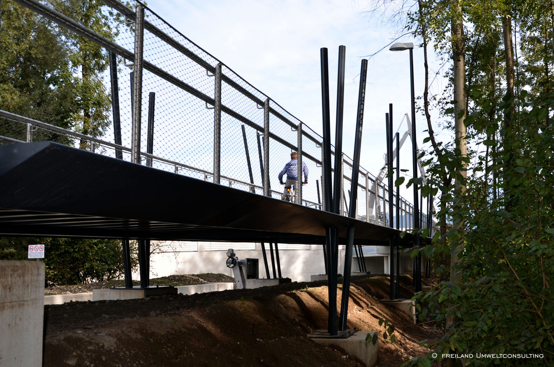 Ein Foto von freiland